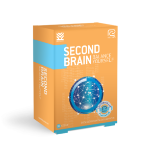 Second brain a30 kesica