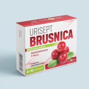Urisept brusnica